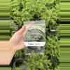 plant/pack of 10 clips-0-thumbnail