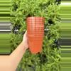 plant/4” Terra Cotta Pot (10)-0-thumbnail