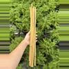 plant/18” Bamboo (10)-0-thumbnail