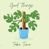 plant/Please Hold my order-0-thumbnail