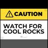 plant/Cool Rocks Sticker-0-thumbnail