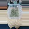 plant/Chlorite in Quartz-0-thumbnail