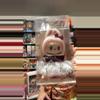 plant/twinkly fairy mokoko-0-thumbnail