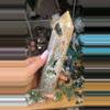 plant/Sea Jasper-0-thumbnail