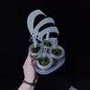 plant/Plarycerium Willinckii Aysun 月神 Grow Choice-1-thumbnail