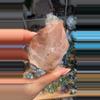 plant/Scarlet temple Lemurian-0-thumbnail