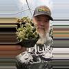 plant/Crassula Justy-Corderoy-0-thumbnail