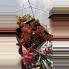plant/dragons blood 5”-0-thumbnail