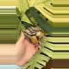 plant/PS-6269 Septarian carved Heart-1-thumbnail