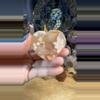 plant/Flower Agate Heart Bowl 10A-0-thumbnail