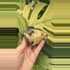 plant/PS-6268 Septarian carved Heart-0-thumbnail