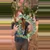 plant/PL484: XL Var Rope PRESALE ships 10/27-0-thumbnail