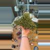 plant/Epidote Quartz-0-thumbnail