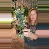 plant/PL482: XL Var Rope PRESALE ships 10/27-0-thumbnail