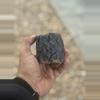plant/Black Crackle 2.5x2.5-0-thumbnail