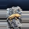 plant/EB2024 F-0-thumbnail