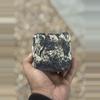 plant/Crackle 3.5x3.5-0-thumbnail