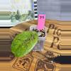 plant/75.  Hoya AH001 splash-0-thumbnail