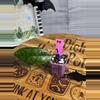 plant/79.  Hoya Finlaysonii noid-0-thumbnail