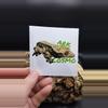 plant/Cosmo Sticker-0-thumbnail