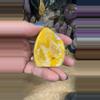 plant/Bumblebee Jasper Freeform 18K-0-thumbnail