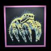 plant/Jumper Art-0-thumbnail