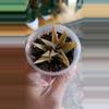 plant/Pink Aloe Hybrid 2"-0-thumbnail