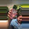 plant/Set of 5 pink self watering cup-0-thumbnail