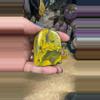 plant/Bumblebee Jasper Freeform 25L-0-thumbnail