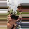 plant/2” duo-0-thumbnail