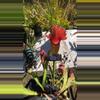 plant/#102 sarracenia catesbaei-0-thumbnail