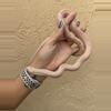 plant/Albino Southern Pine Snake male-1-thumbnail