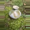 plant/Small Pottery Vase-0-thumbnail
