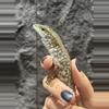 plant/Crocodile Tegu-0-thumbnail