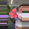 plant/Aglaonema red diamond 0678-0-thumbnail
