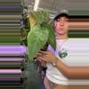 plant/0325 anthurium papi-0-thumbnail