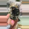 plant/Turkish Epidote Quartz Specimen $56K-0-thumbnail