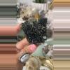 plant/Epidote w Quartz hakkari turkey $154M-0-thumbnail