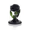plant/only one left….-0-thumbnail