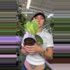 plant/anthurium clarinervium variegated 0881-0-thumbnail