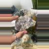 plant/Fluorite Polita mine chihuahua mexico $48-0-thumbnail