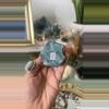 plant/blue oj prism $72Y-0-thumbnail