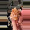plant/Creedite-0-thumbnail