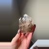 plant/AAA smoky elestial-0-thumbnail