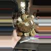plant/Ammonite Cluster-0-thumbnail