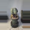 plant/255 old Astro myrio kikko 6" tall-0-thumbnail