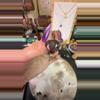 plant/garden heart-0-thumbnail