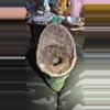 plant/Amethyst With Custom Stand-0-thumbnail