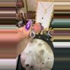 plant/dendritic agate-0-thumbnail