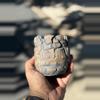 plant/Bones 3.5x3.75H-0-thumbnail
